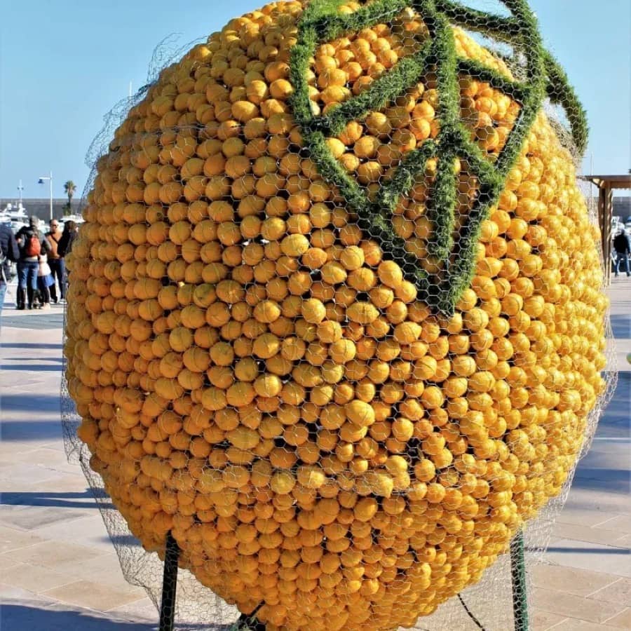 Fête du Citron